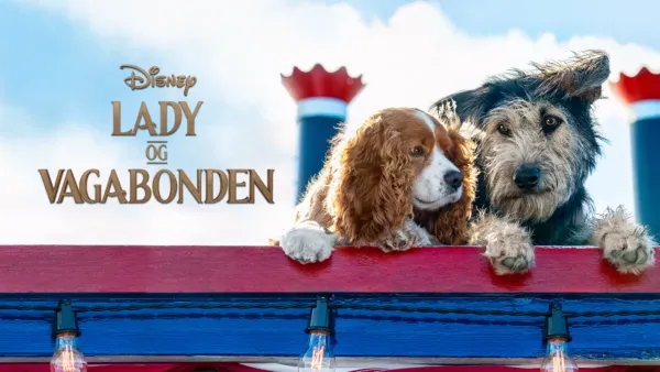 thumbnail - Lady og Vagabonden
