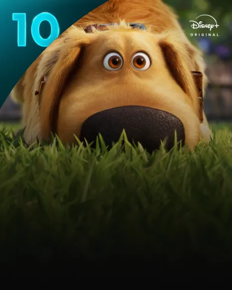Dug Days