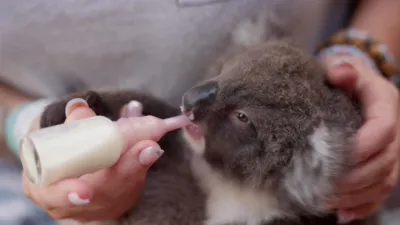 thumbnail - S5:E3 Raising Gracie