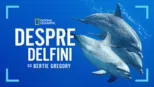 thumbnail - Despre delfini cu Bertie Gregory