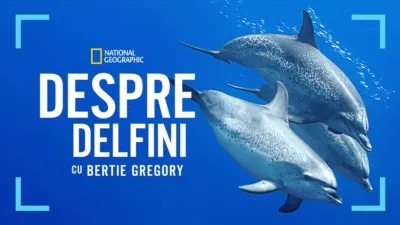 Despre delfini cu Bertie Gregory