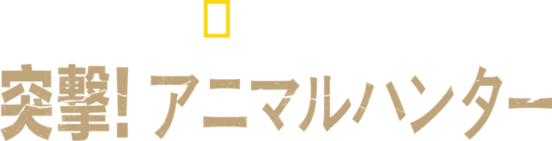 突撃！アニマルハンター