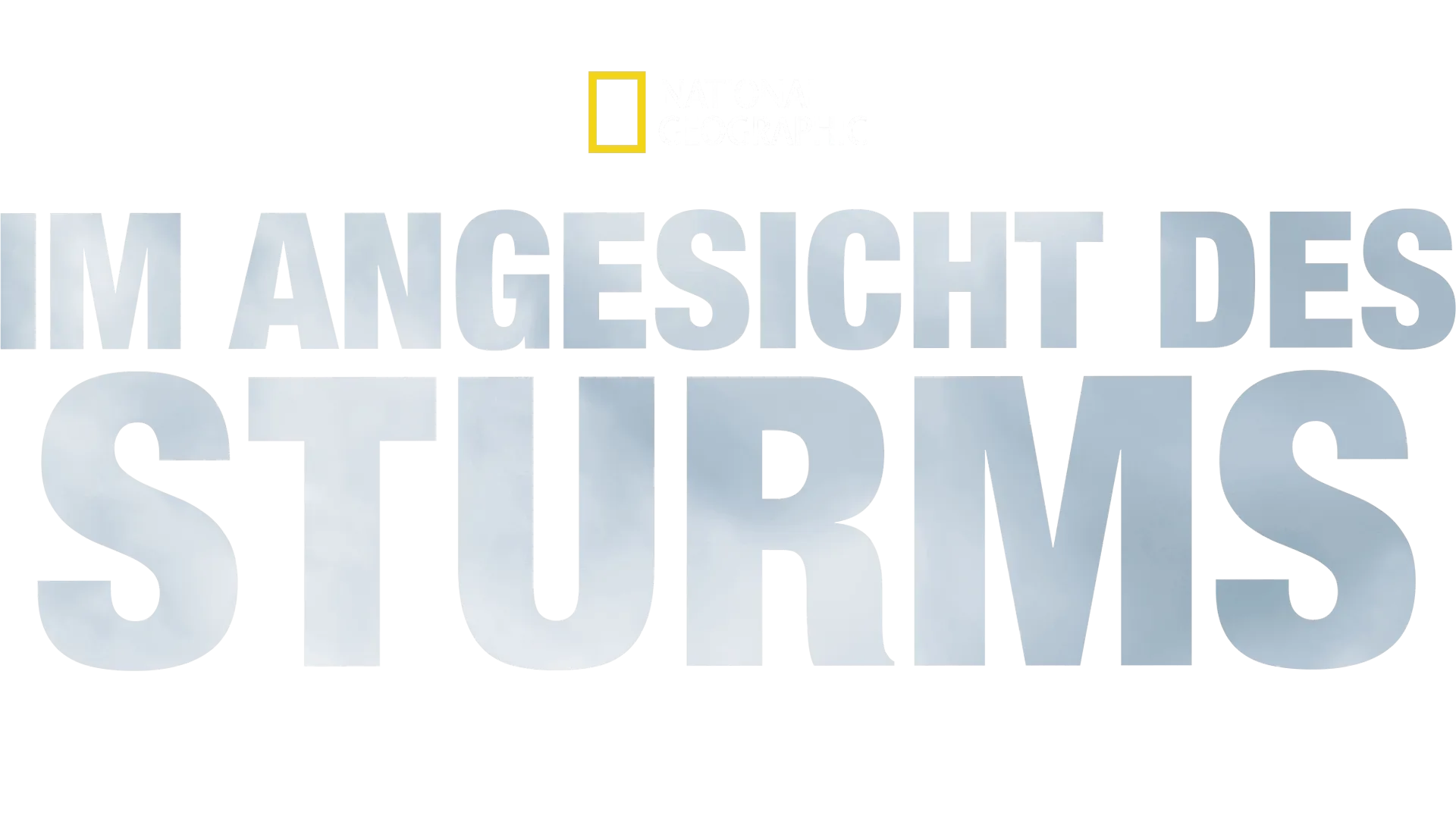 Im Angesicht des Sturms