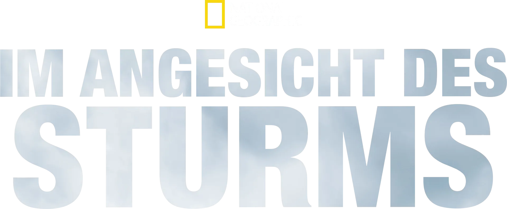 Im Angesicht des Sturms
