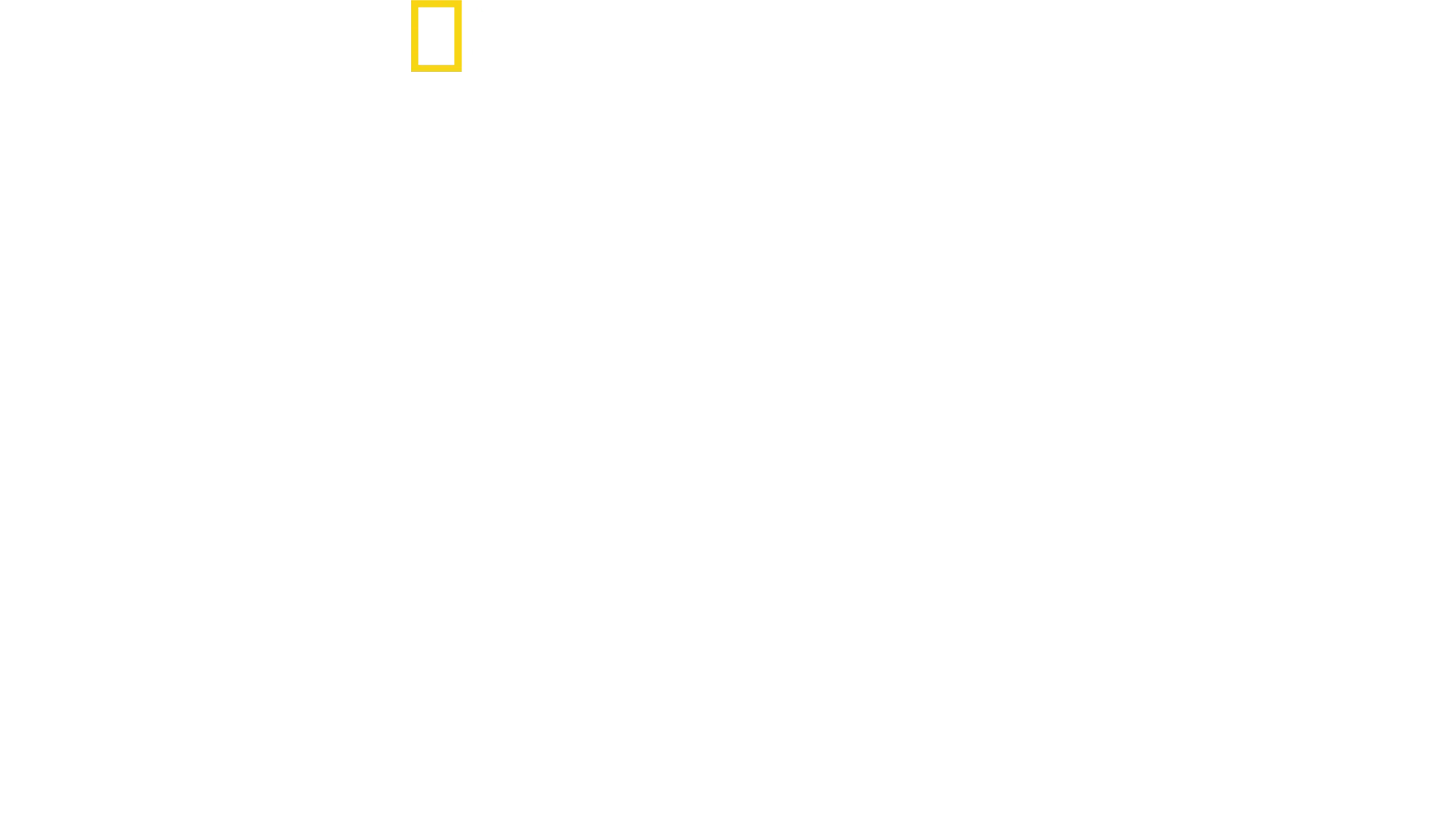 Stanley Tucci'nin Büyülü İtalyası