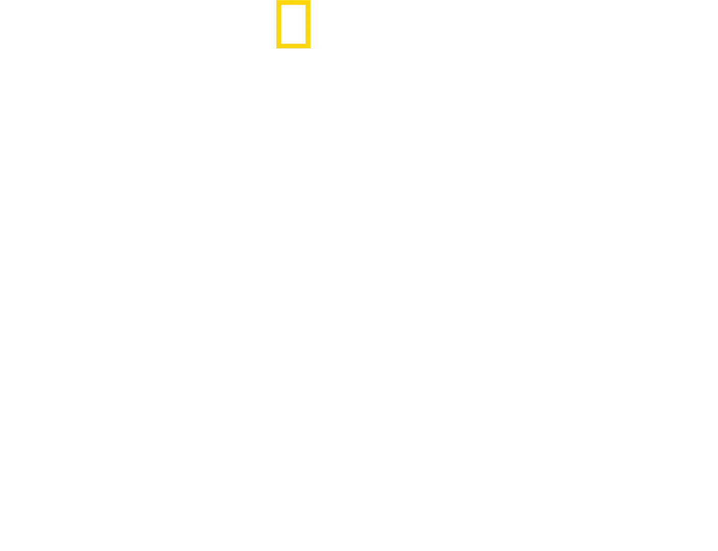 Stanley Tucci'nin Büyülü İtalyası