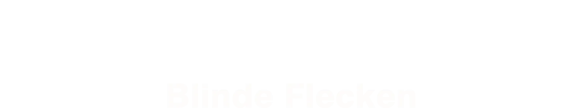 Wilsberg - Blinde Flecken