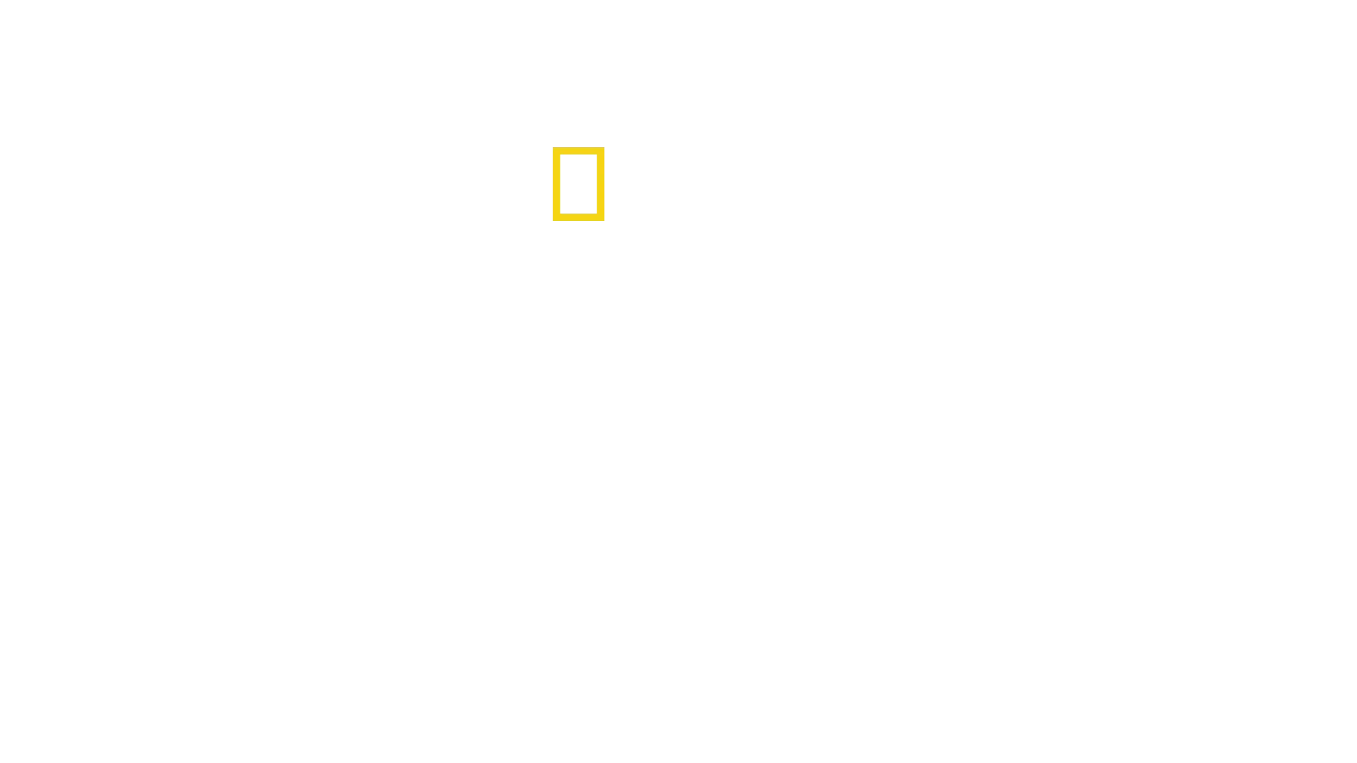 Port Security: Hamburg