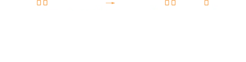 不速之客