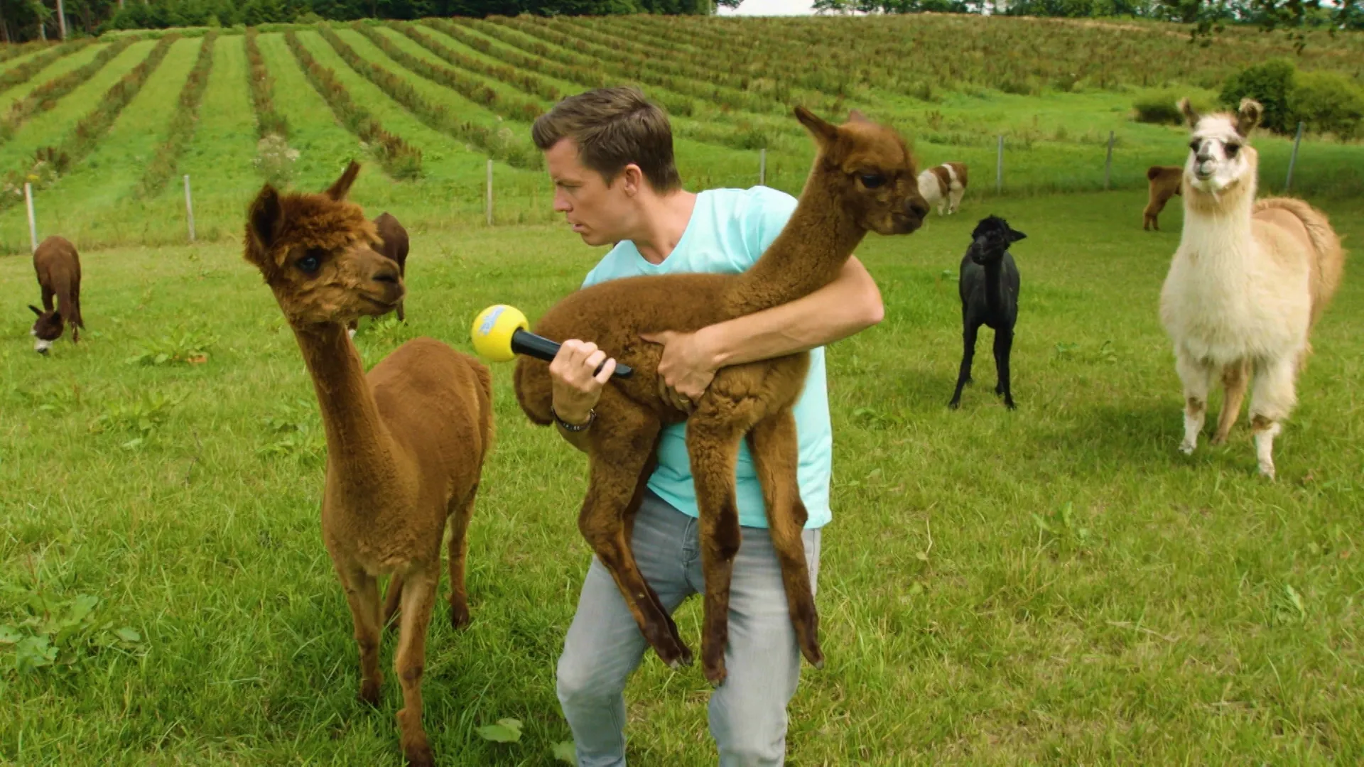 thumbnail - S2:F7 Beni und die Tierbabys