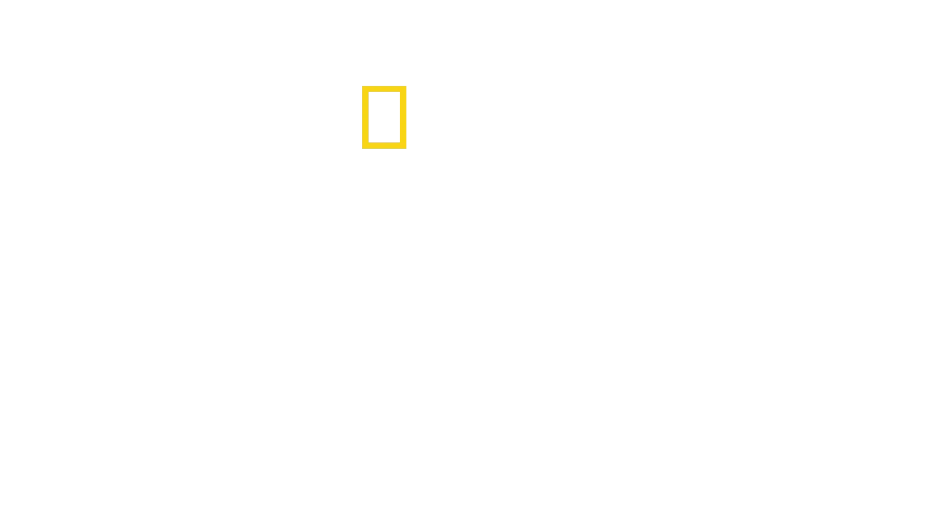 Egypts tapte skatter
