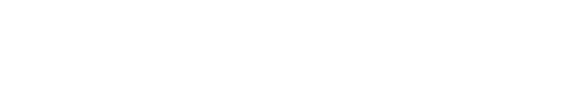 Zwierzaki