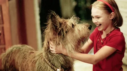 Because of Winn-Dixie