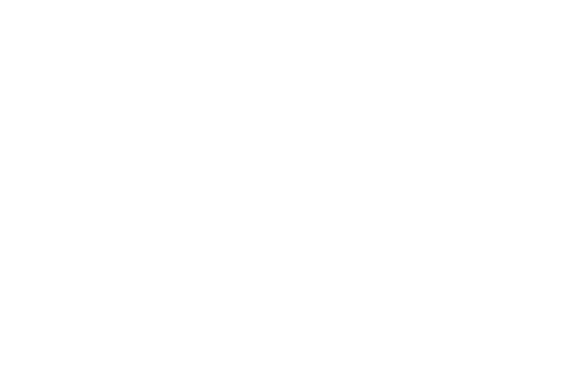 Cheque em Branco
