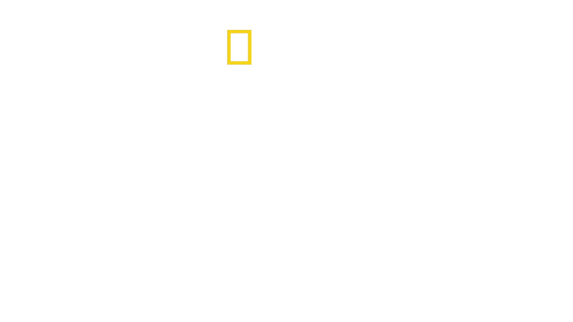 Állati gyerekmesék