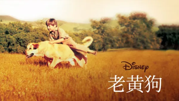 thumbnail - 老黄狗