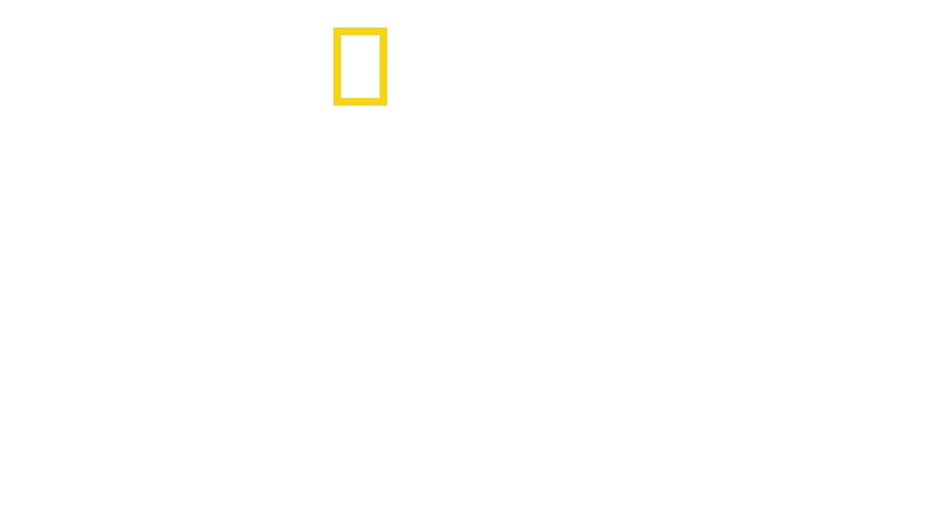 海洋卫士雅克·库斯托