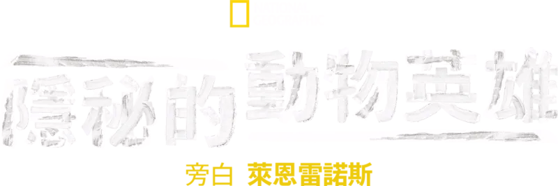 隱秘的動物英雄