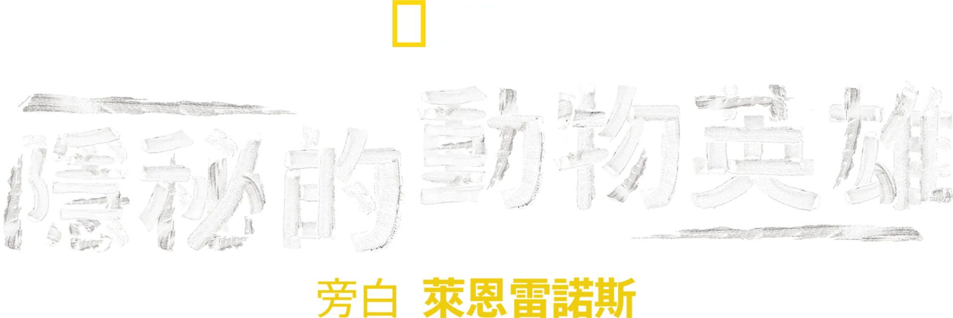 隱秘的動物英雄