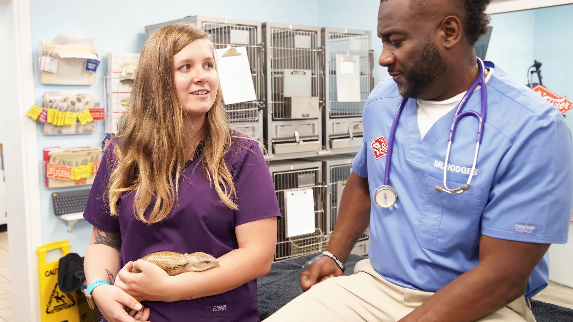 thumbnail - S6:E11 Little Heroes