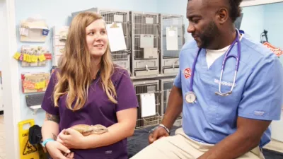 thumbnail - S6:E11 Little Heroes