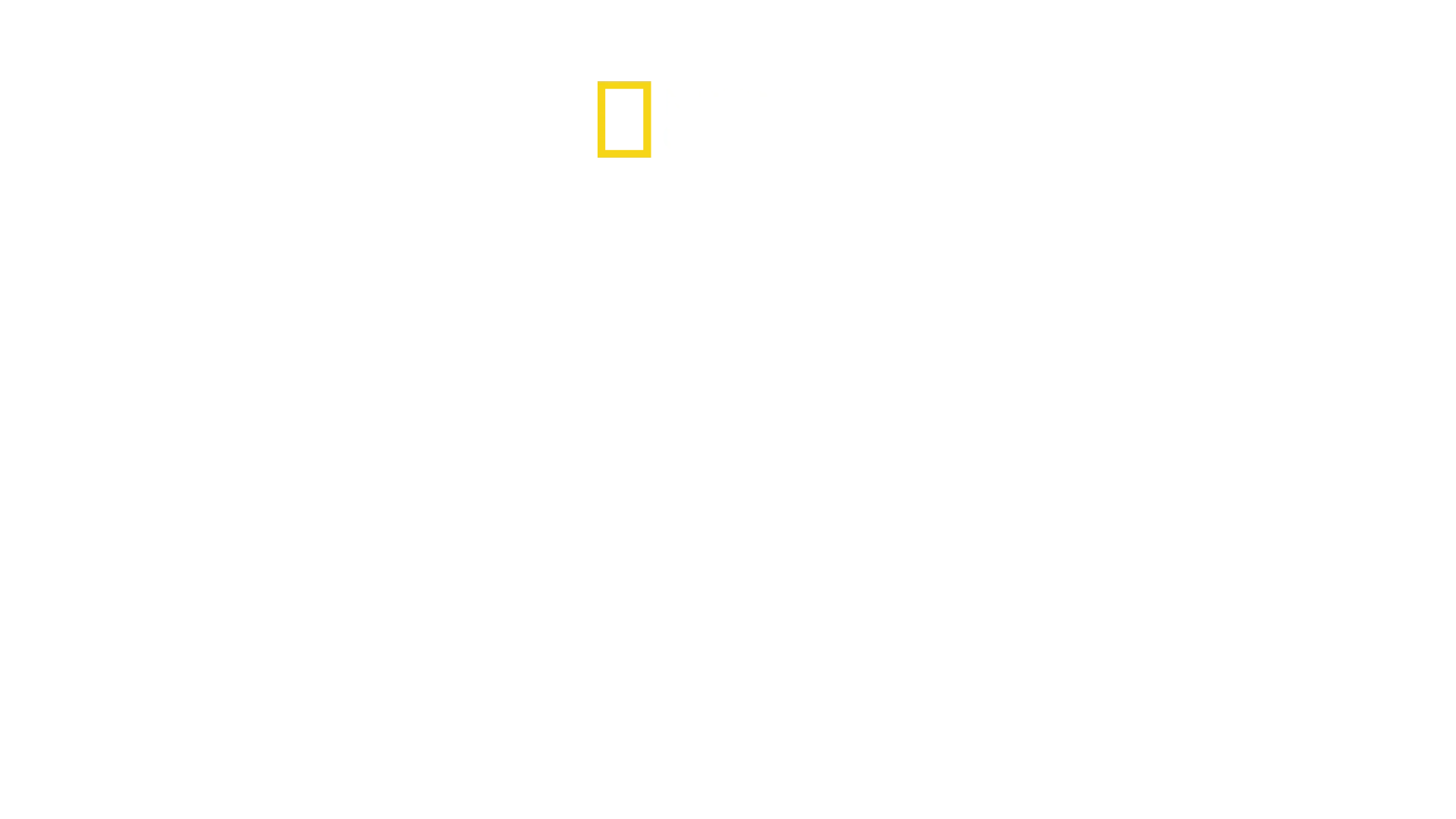 Corée du Nord : portraits de dictateurs