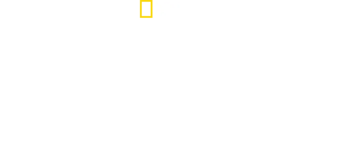 Corée du Nord : portraits de dictateurs