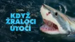 thumbnail - Když žraloci útočí