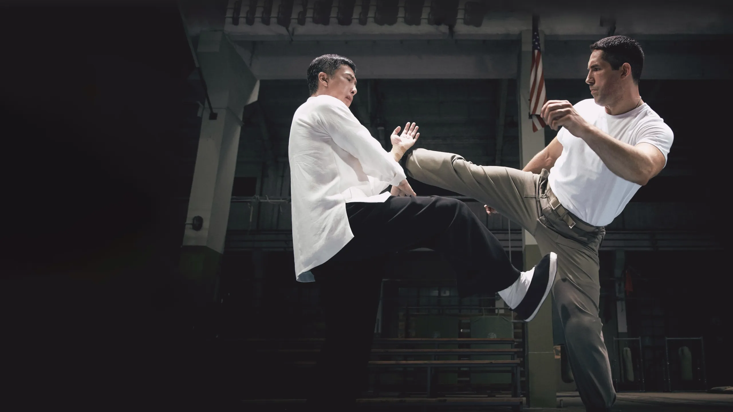 Ip Man 4: The Finale