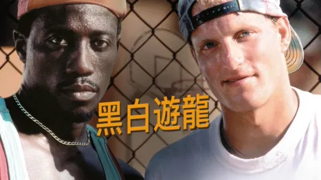 thumbnail - 黑白遊龍