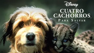 thumbnail - Cuatro cachorros para salvar