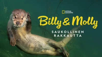 Billy & Molly: Saukon rakkaustarina