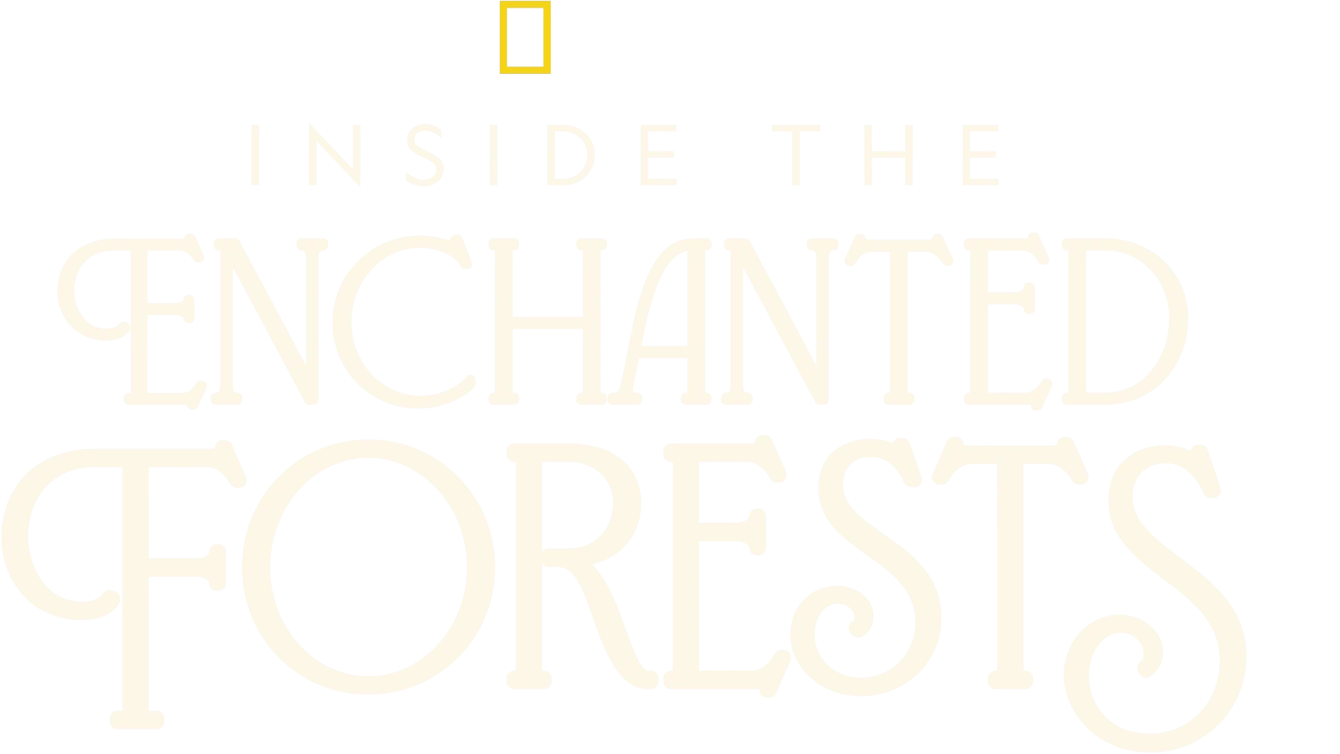 Inside the Enchanted Forests