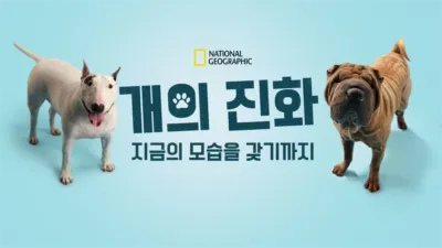 thumbnail - 개의 진화: 지금의 모습을 갖기까지