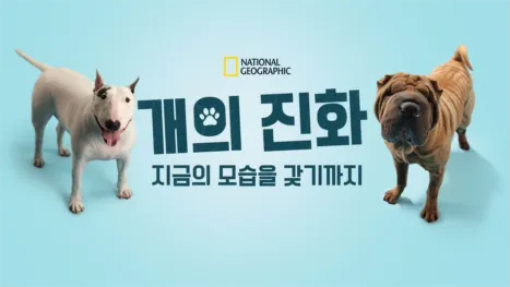 thumbnail - 개의 진화: 지금의 모습을 갖기까지