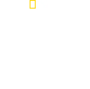 Volt egyszer egy bolygó