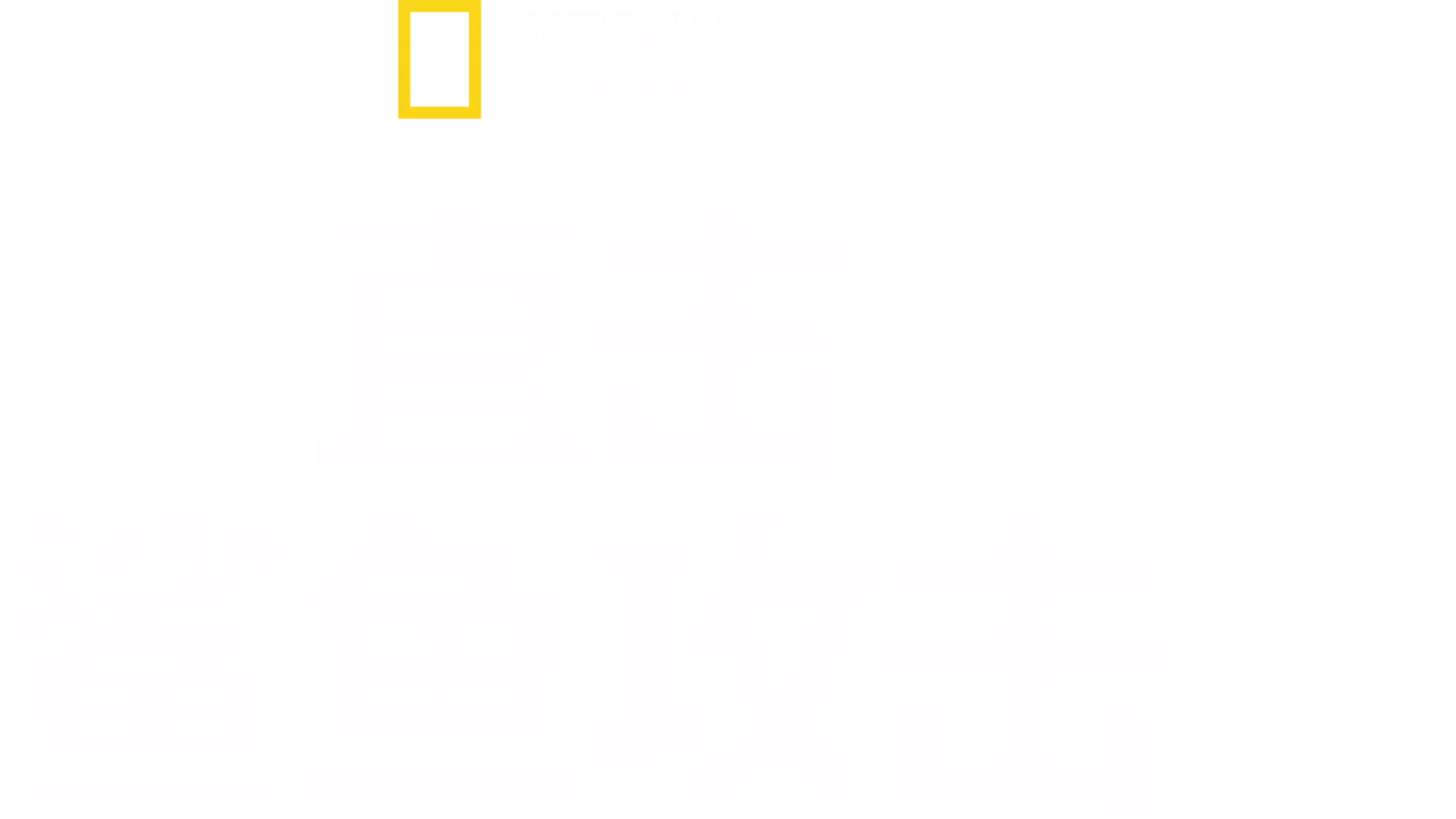 直击鲨鱼攻击