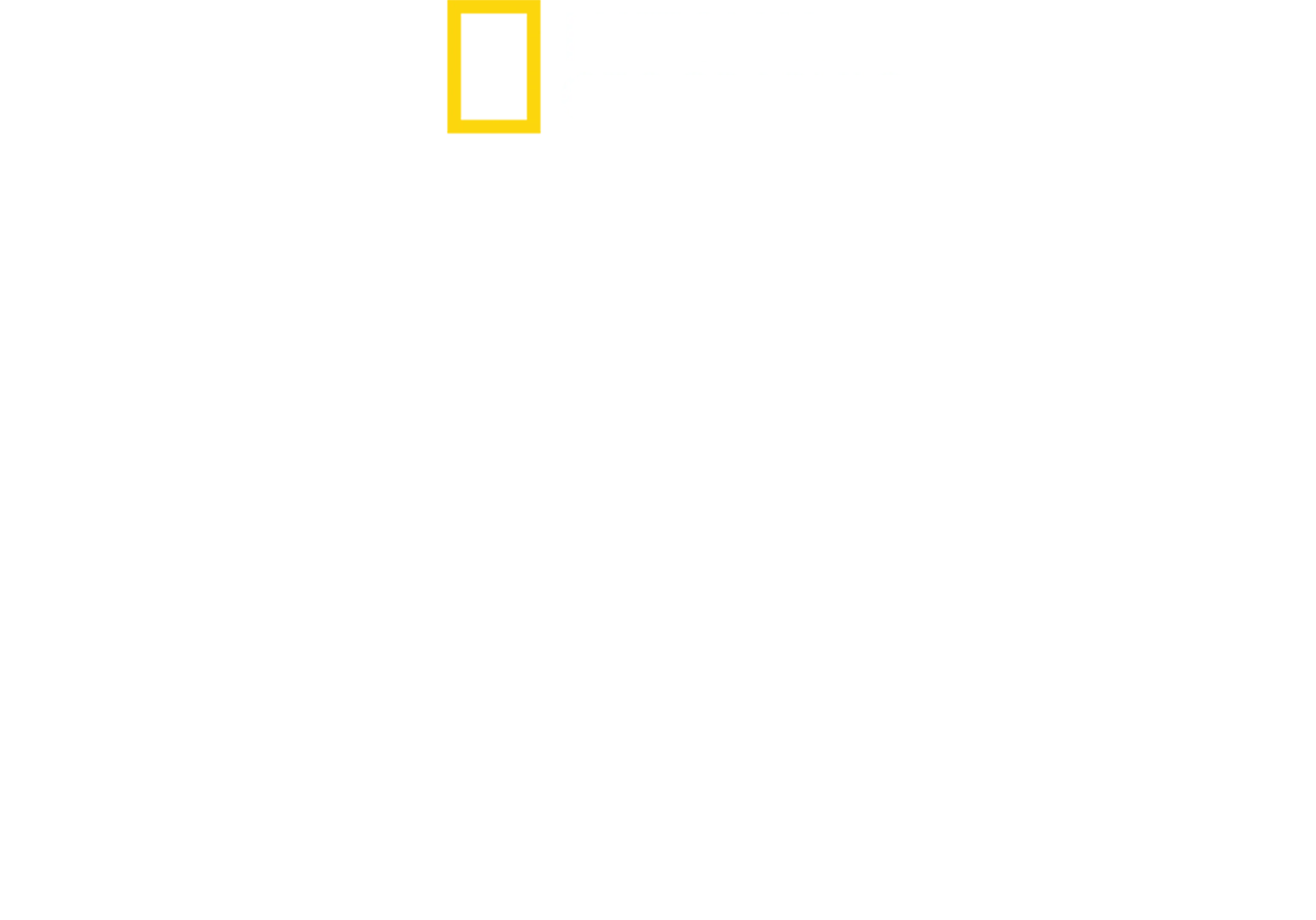 直击鲨鱼攻击