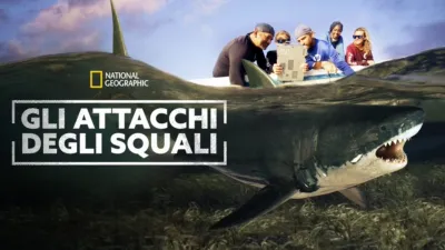Gli attacchi degli squali