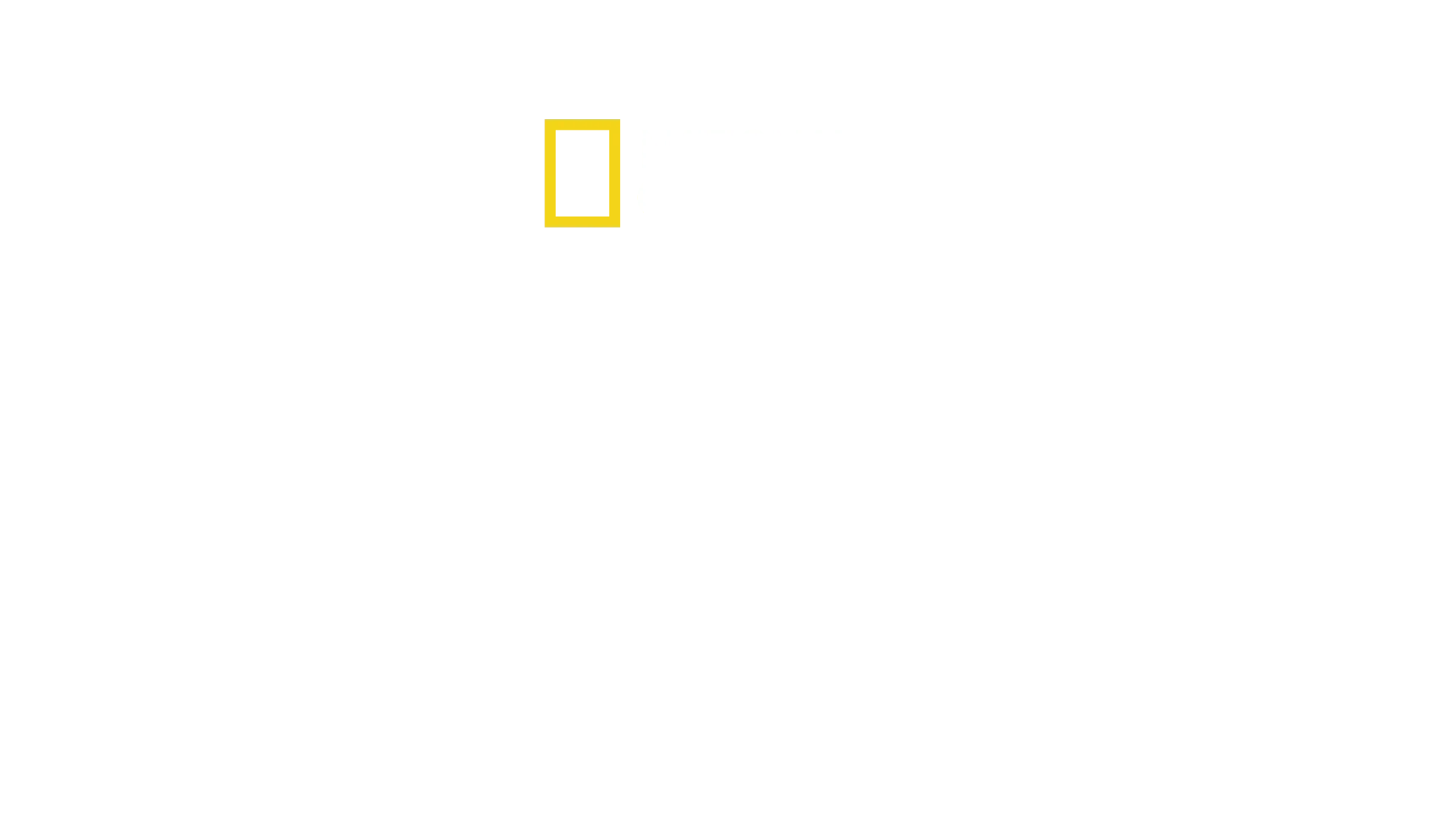 神秘なるゾウの愛と知性の物語
