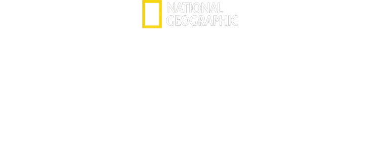 神秘なるゾウの愛と知性の物語