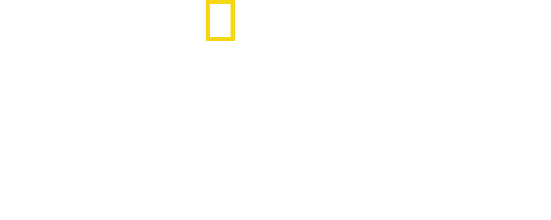 神秘なるゾウの愛と知性の物語