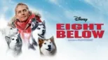 thumbnail - Eight Below