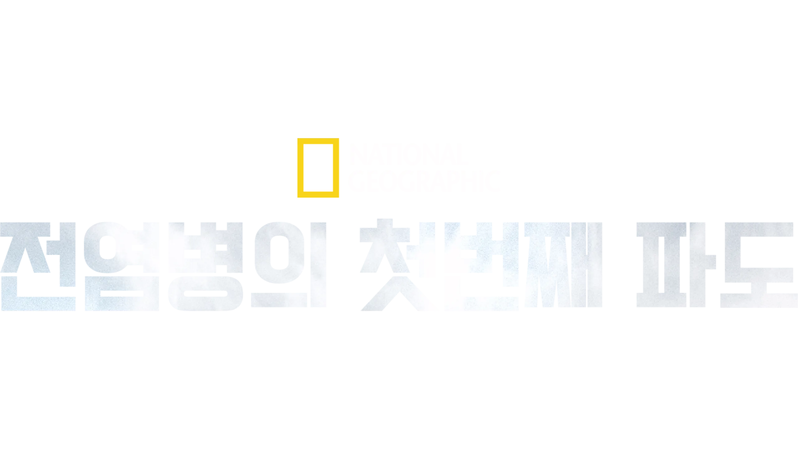 전염병의 첫번째 파도