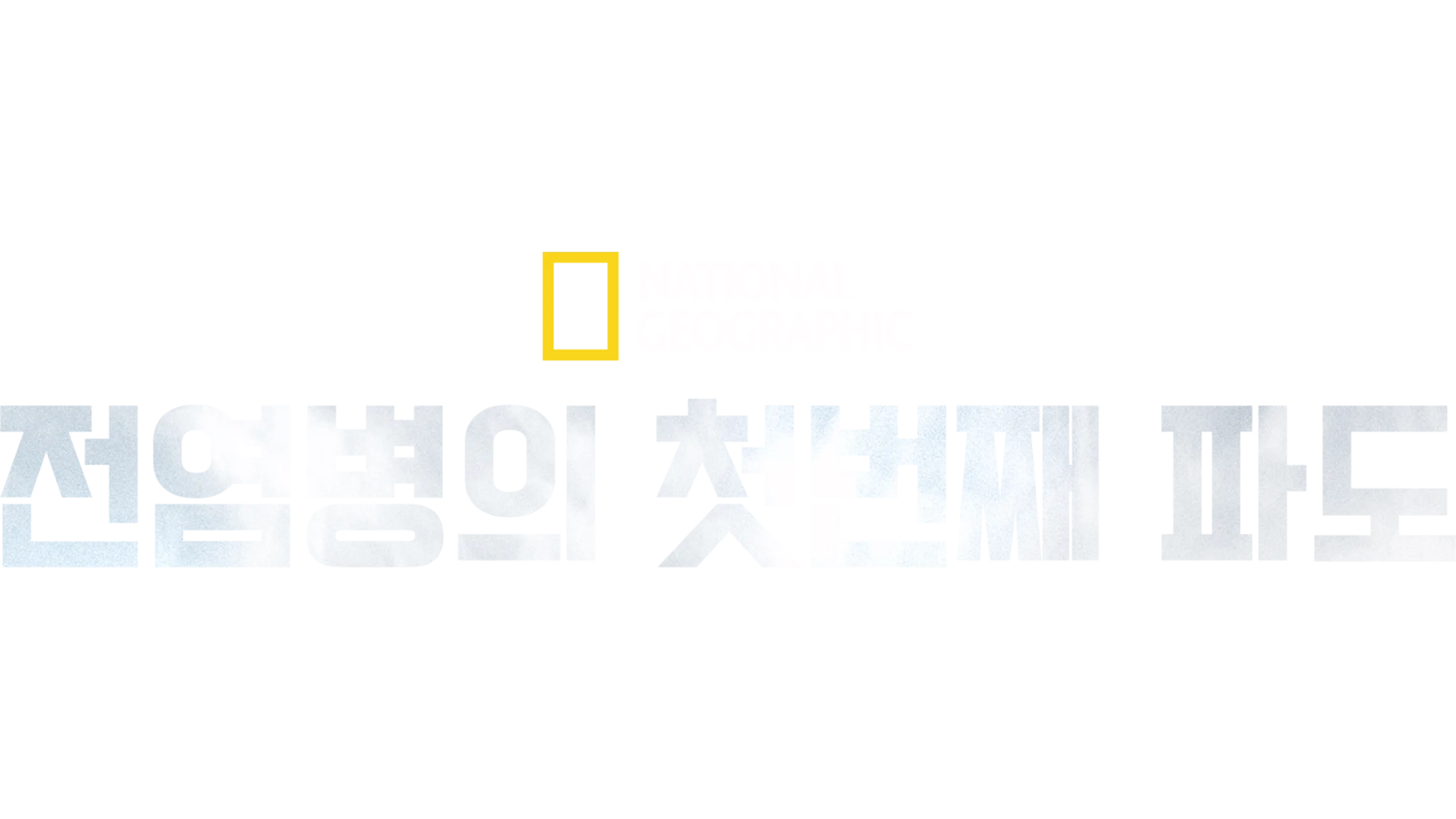 전염병의 첫번째 파도