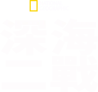 深海二戰