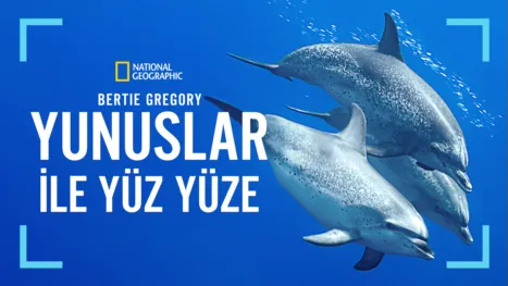 thumbnail - Bertie Gregory Yunuslar ile Yüz Yüze