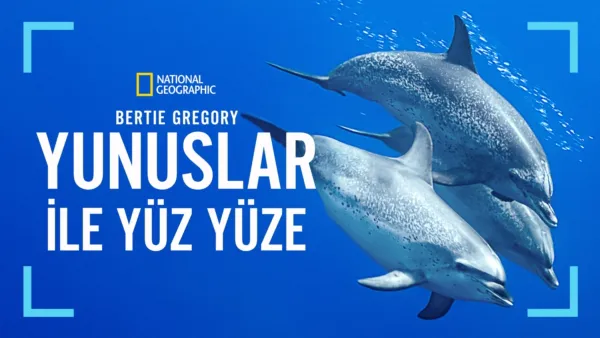 thumbnail - Bertie Gregory Yunuslar ile Yüz Yüze