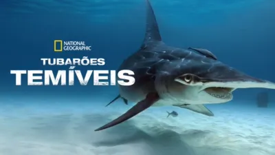 Tubarões Temíveis