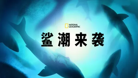 thumbnail - Counting Jaws
